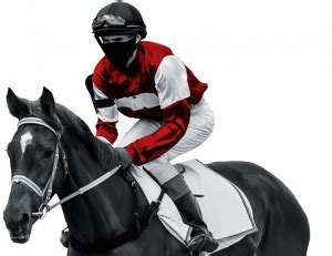 ladbrokes api|Horse Racing Data Feed API · Markets, Stats, Scores & Fixtures .